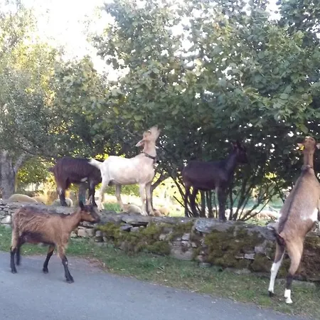 Au Bon Accueil Anciennement Le Jardin Fleuri